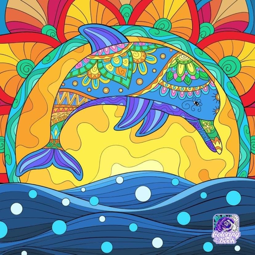 Meet your Posher, Hana